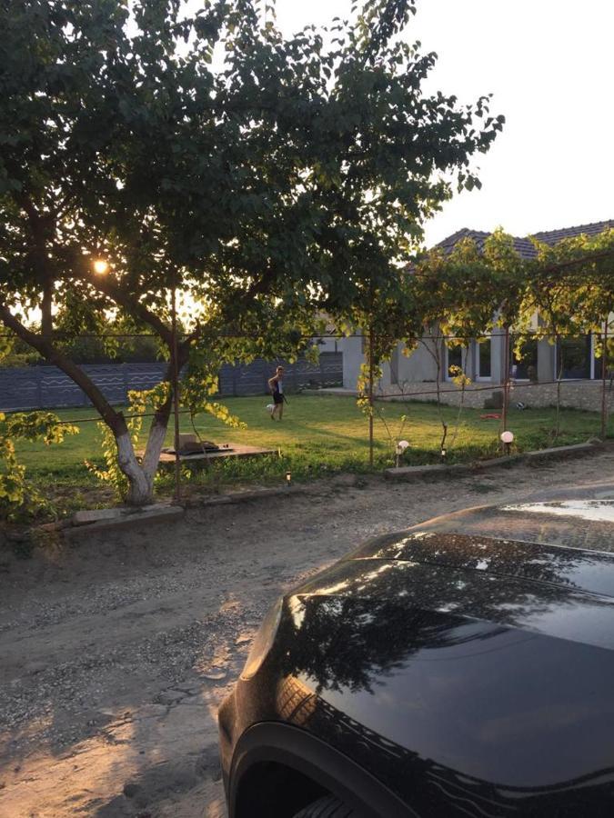 La Olteanu Hotell Vadu Eksteriør bilde